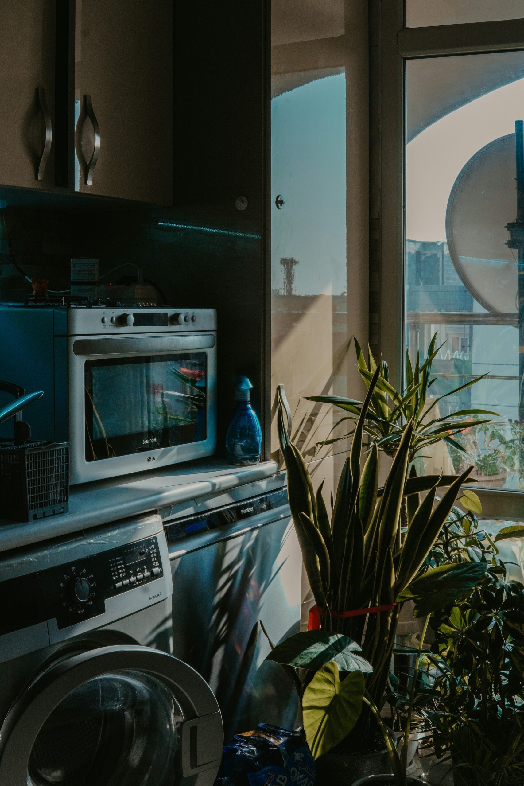 ali choubin zqxfmgdypm unsplash